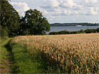 strandweg_klein